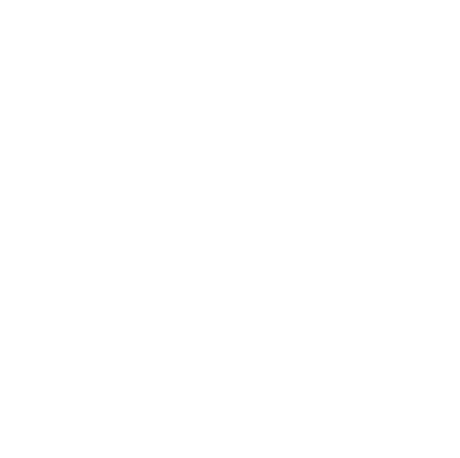 SIA WEB